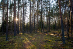 20201031_06.jpg